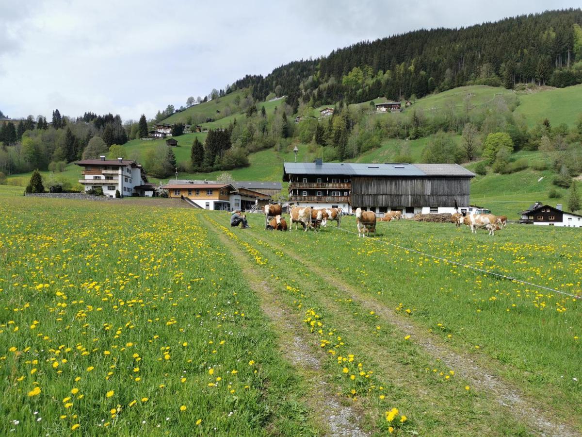 Angererhof Lägenhet Jochberg Exteriör bild