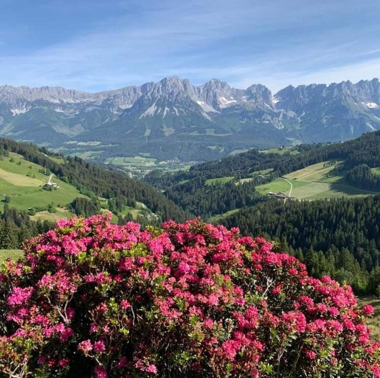Angererhof Lägenhet Jochberg Exteriör bild