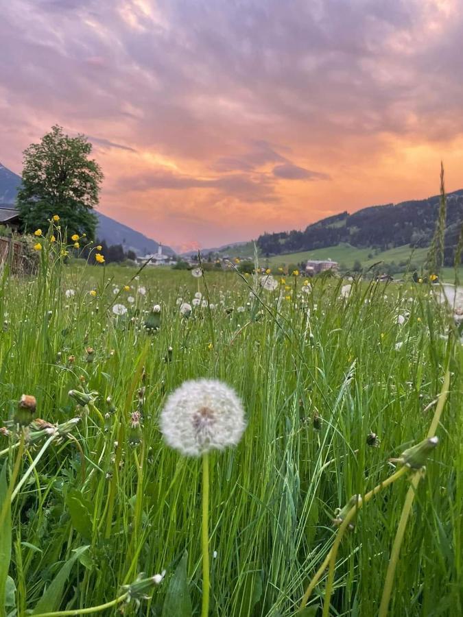 Angererhof Lägenhet Jochberg Exteriör bild