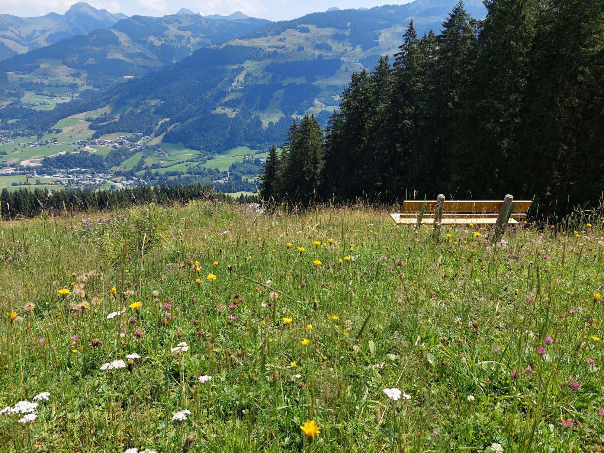 Angererhof Lägenhet Jochberg Exteriör bild
