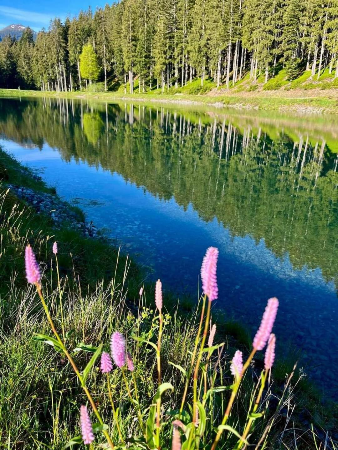 Angererhof Lägenhet Jochberg Exteriör bild