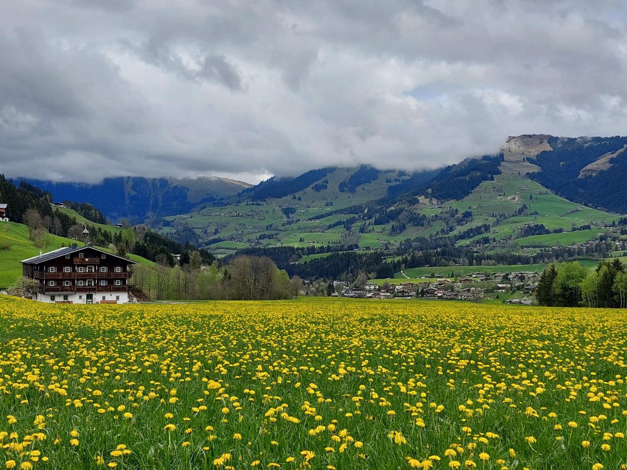 Angererhof Lägenhet Jochberg Exteriör bild